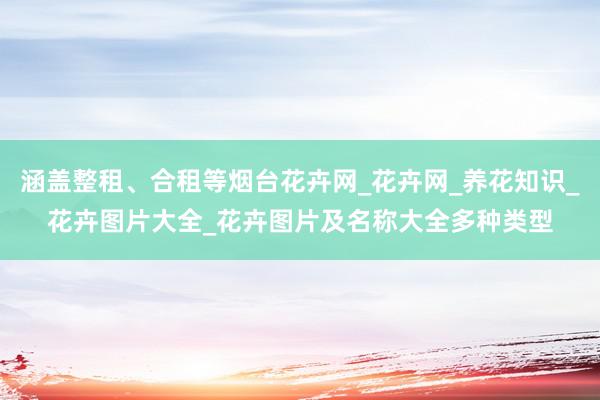 涵盖整租、合租等烟台花卉网_花卉网_养花知识_花卉图片大全_花卉图片及名称大全多种类型